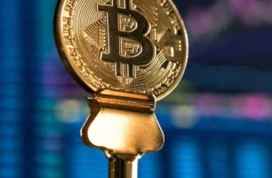 Logo Design and Branding